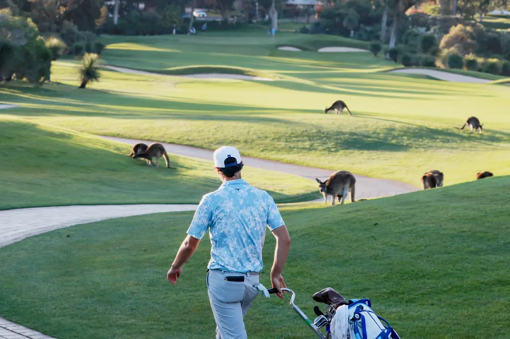 Joondalup Resort image 11