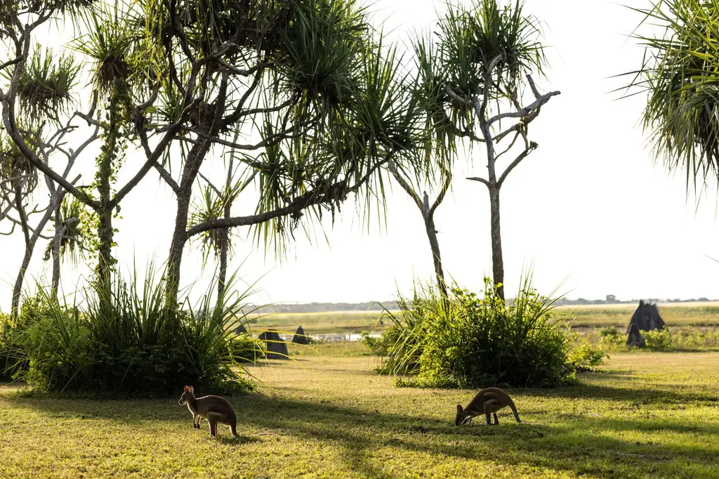 Bamurru Plains image 4