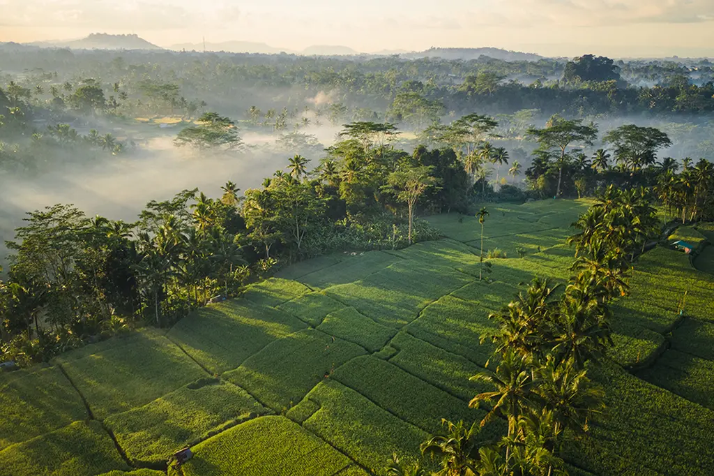Ubud Mas Glamping image 2