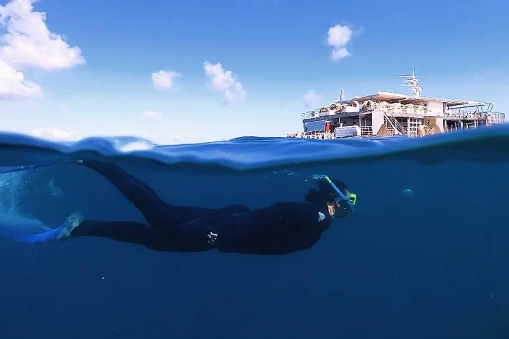 Reefsleep – Cruise Whitsundays image 5