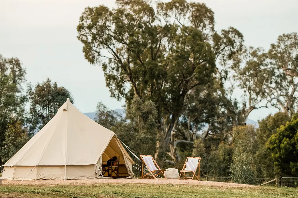 Mansfield Glamping image 1