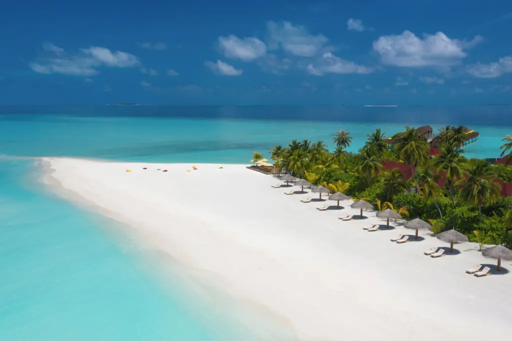 Dhigufaru Island Resort image 10