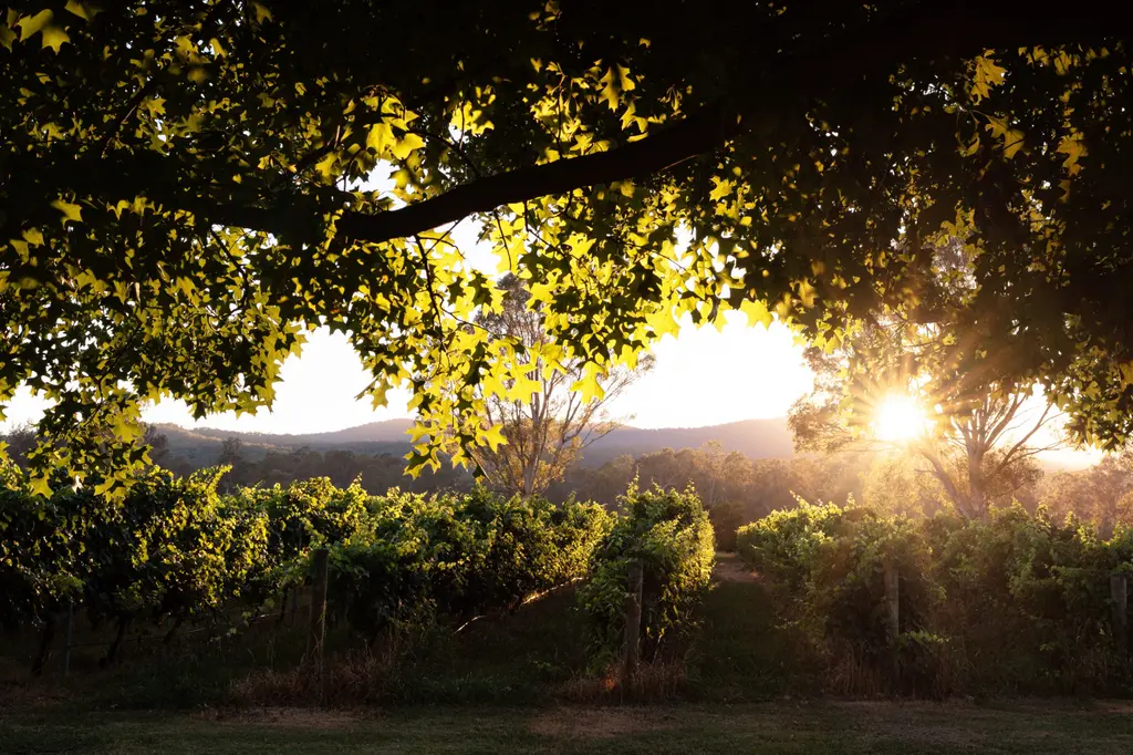 Dal Zotto Homestead and Petite Retreats image 10