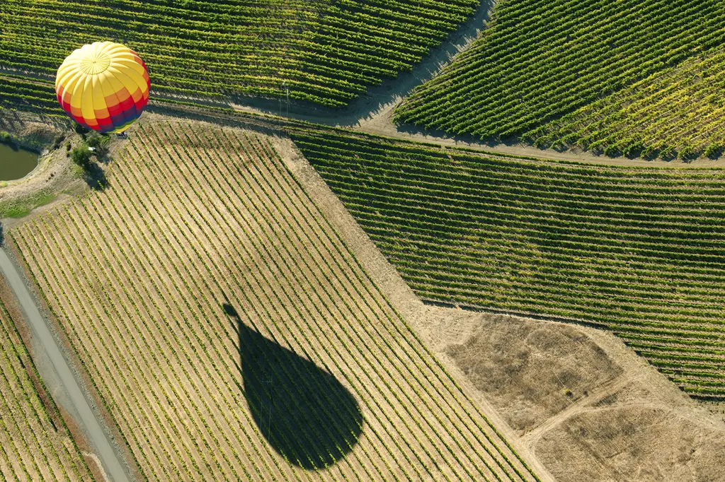 Novotel Barossa Valley Resort image 10