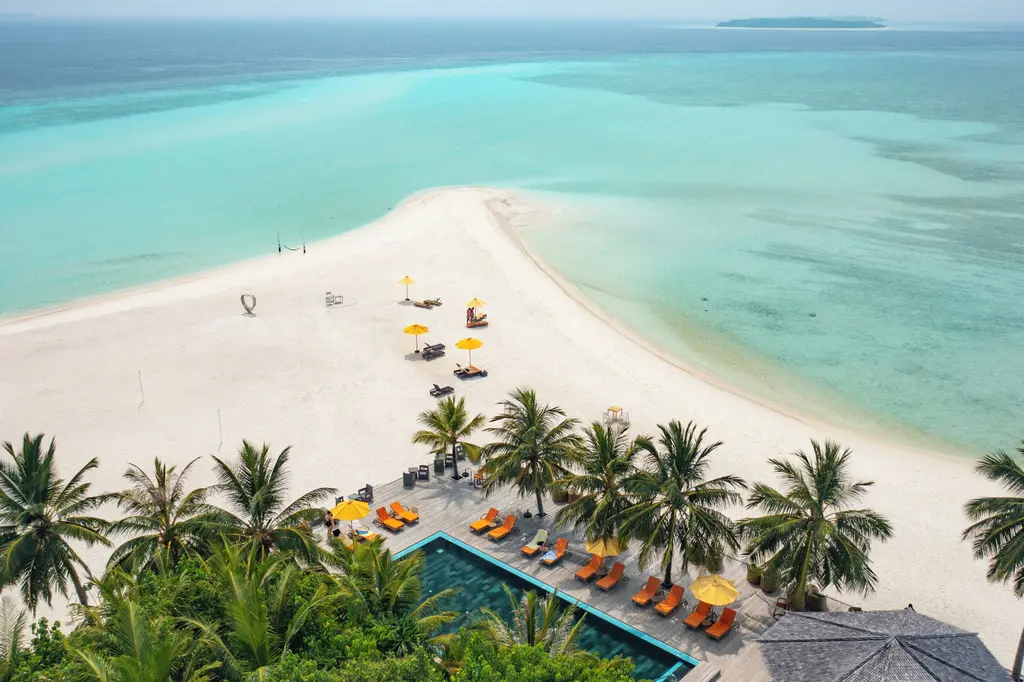 Dhigufaru Island Resort image 13