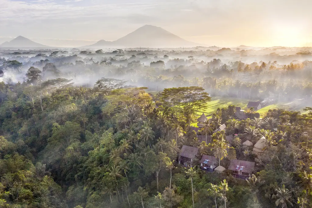 Blue Karma Dijiwa Ubud image 2
