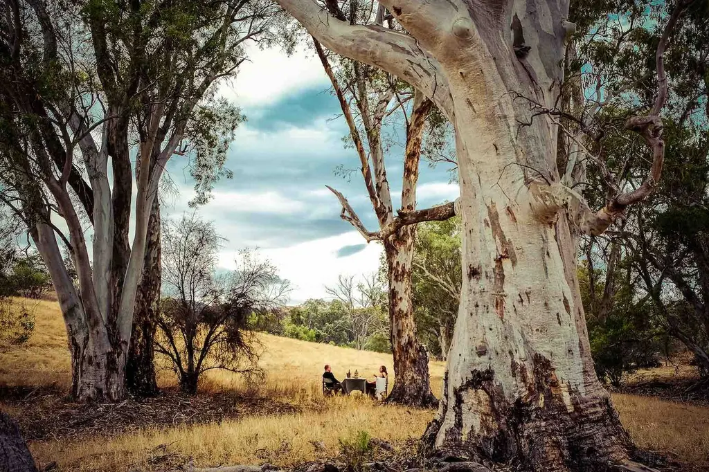 Arkaba Homestead  image 12