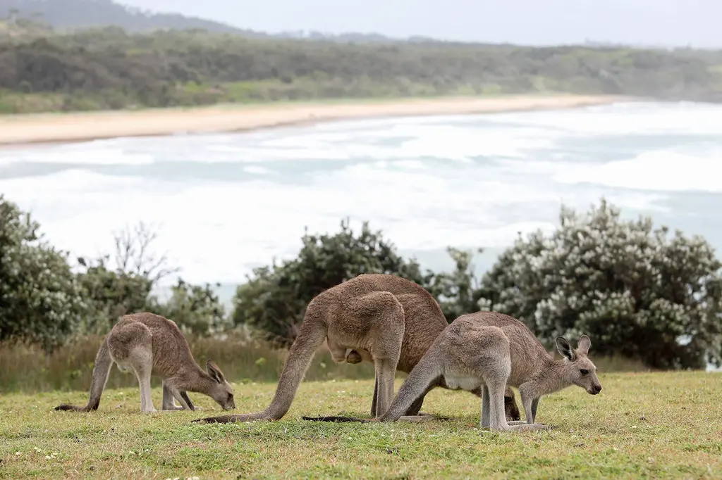 Charlesworth Bay Beach Resort image 15