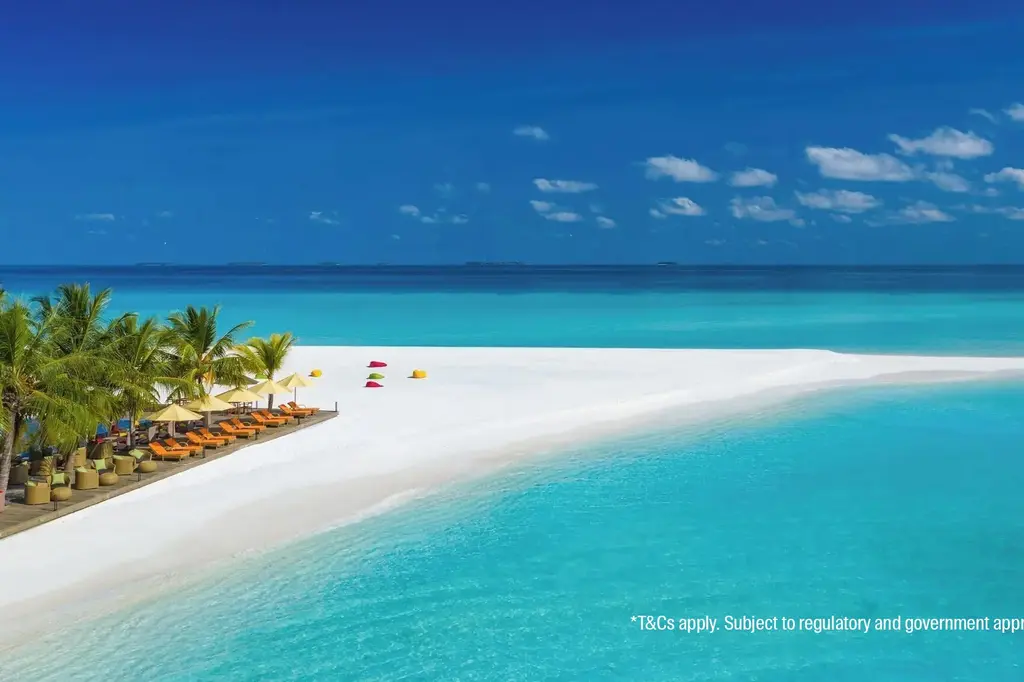 Dhigufaru Island Resort image 1