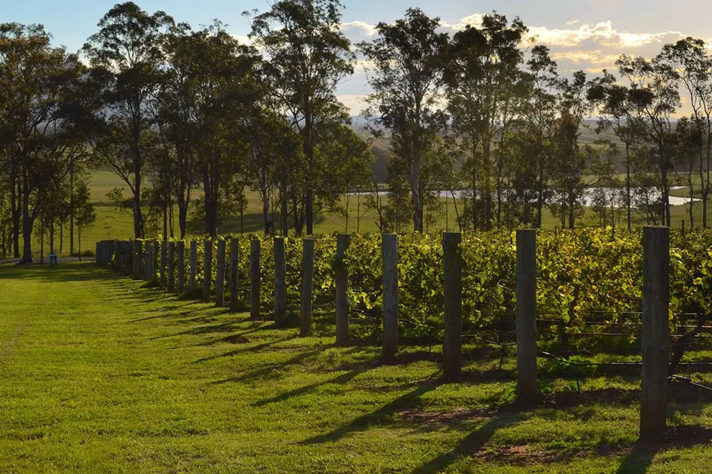 H Boutique Hotel image 13