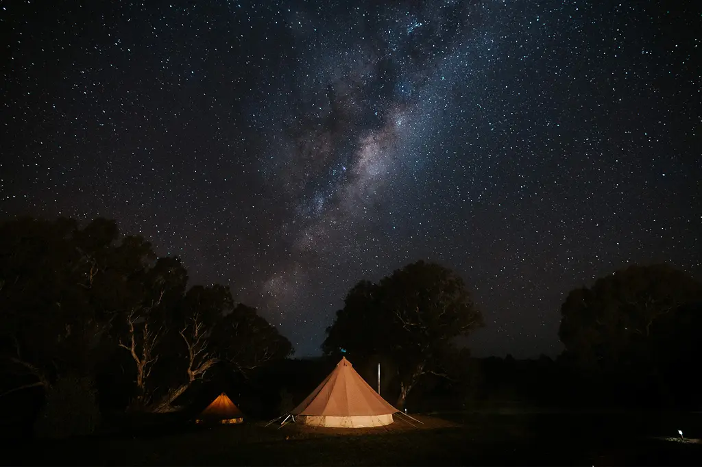 Mansfield Glamping image 11