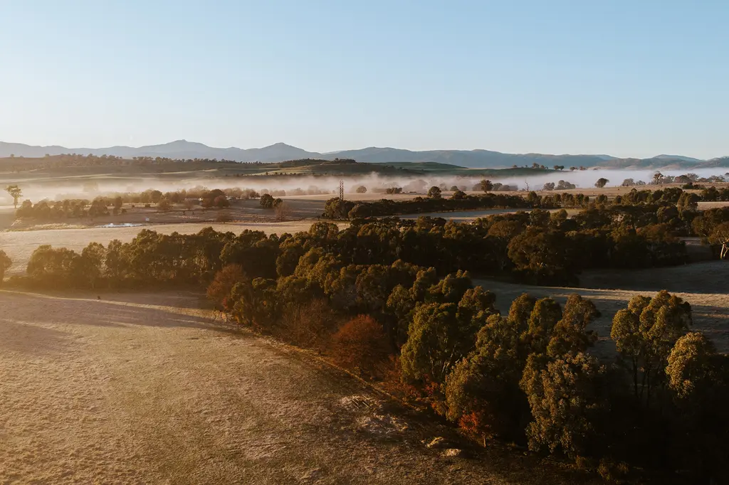 Mansfield Glamping image 7