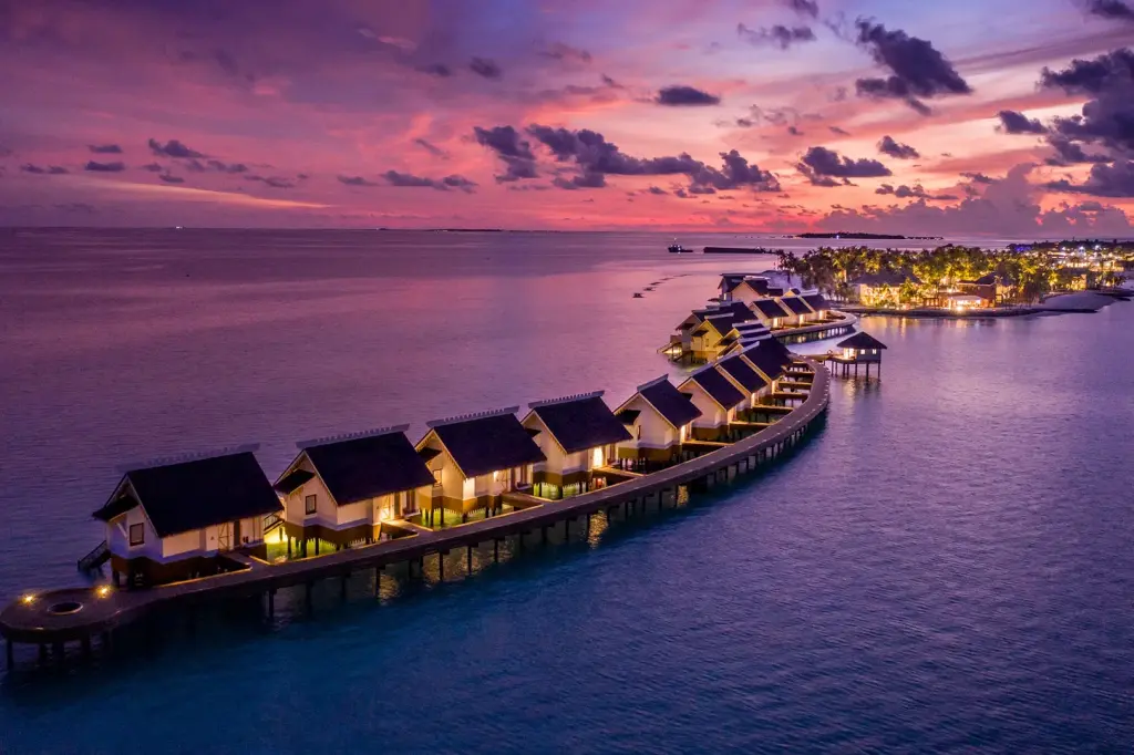 SAii Lagoon Maldives, Curio Collection by Hilton  image 19