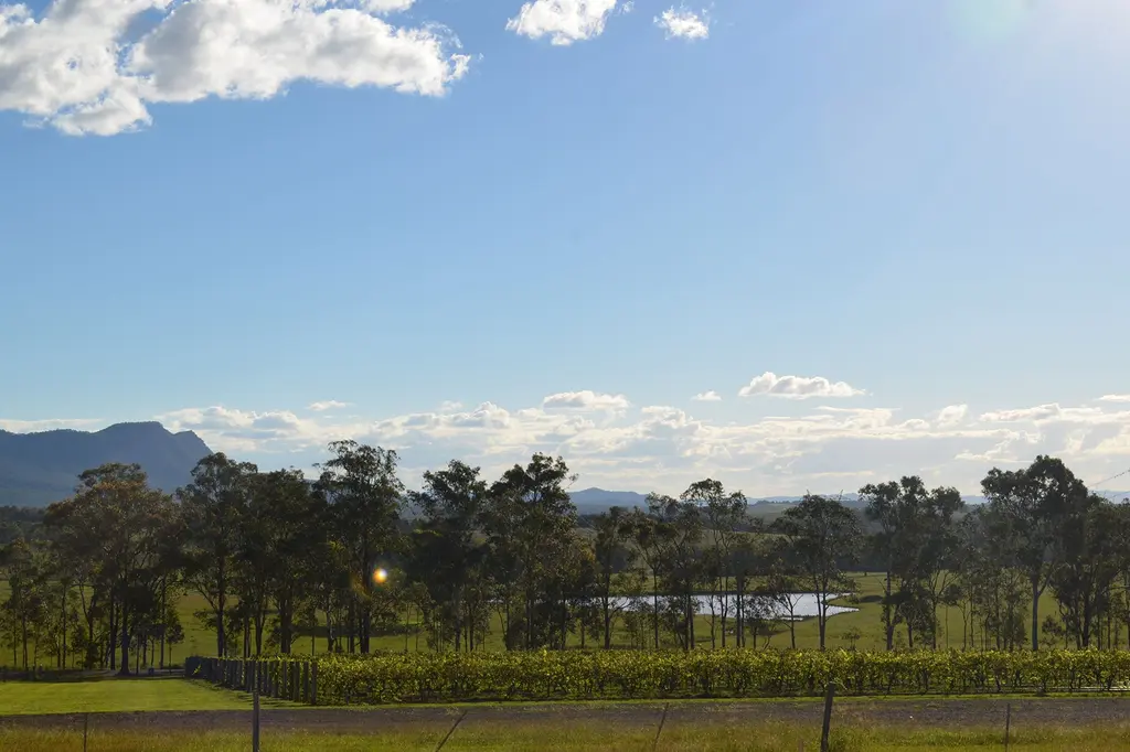 H Boutique Hotel image 8