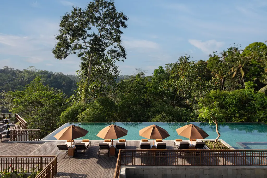 Anantara Ubud Bali Resort image 2