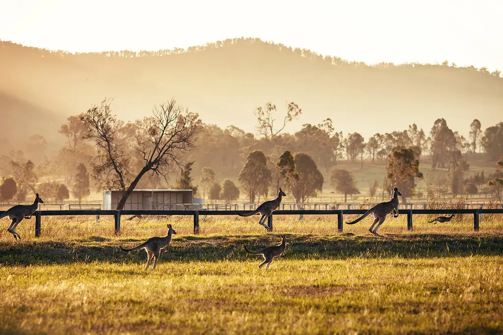 H Boutique Hotel image 16