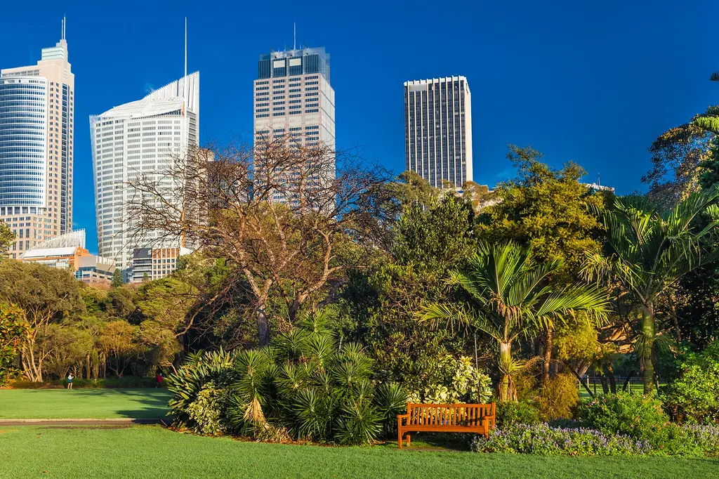 Paradox Sydney image 8