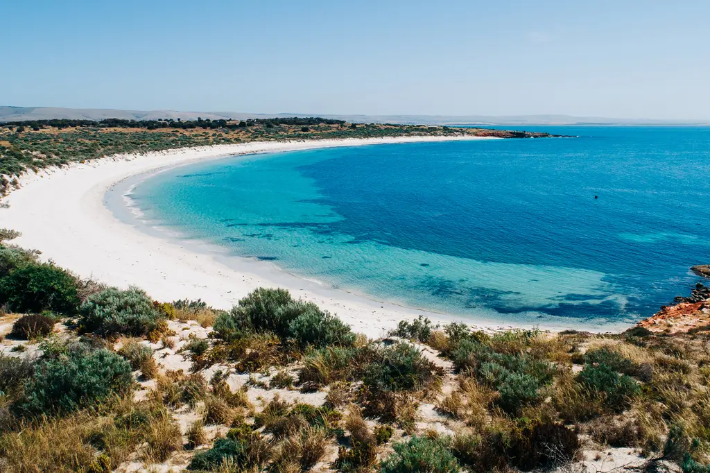 Rumi on Louth image 1