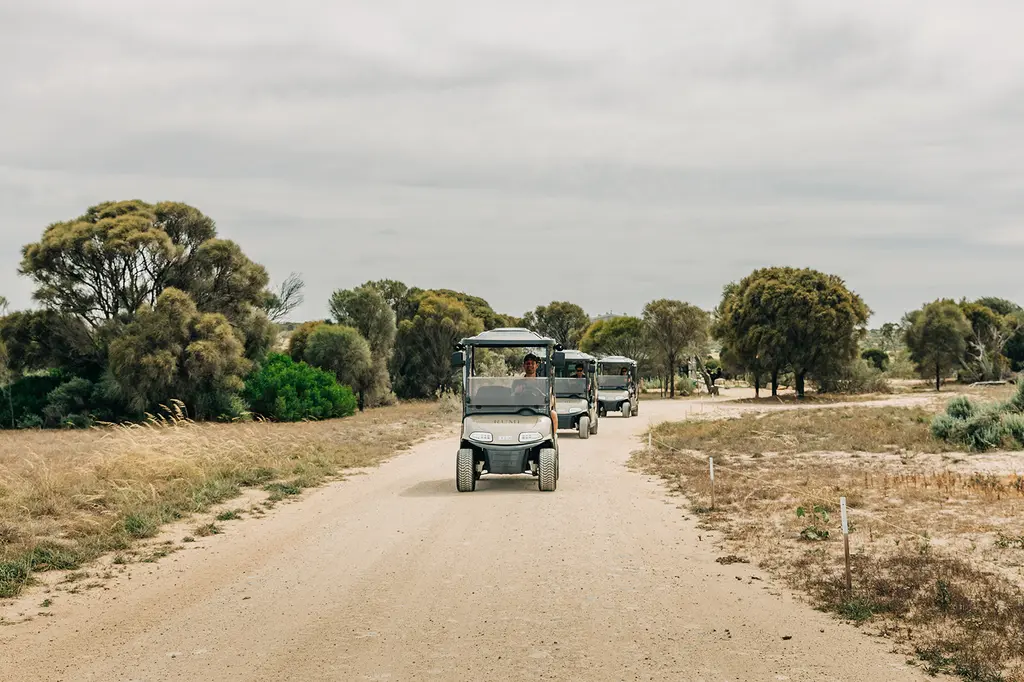 Rumi on Louth image 15