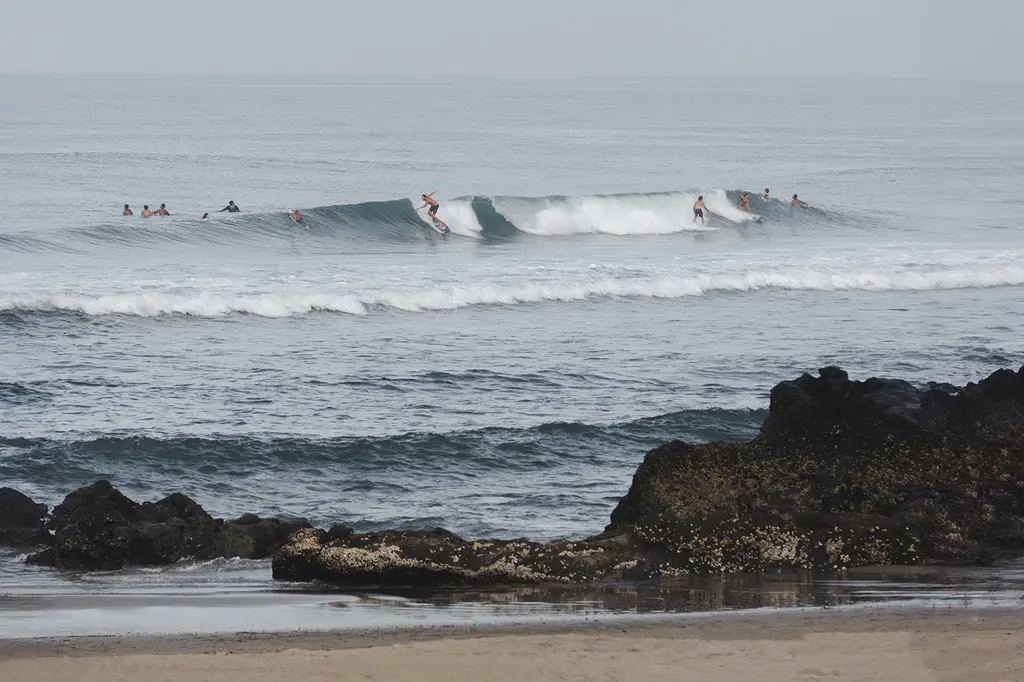 Regent Bali Canggu, an IHG Hotel image 10