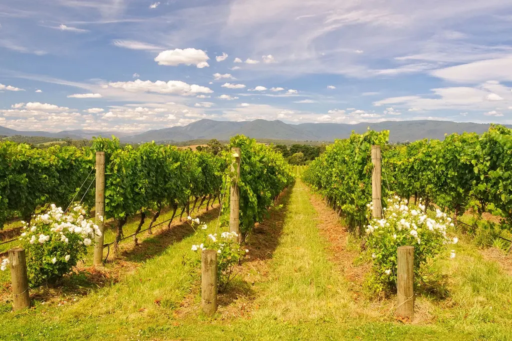 Peppers Marysville image 12