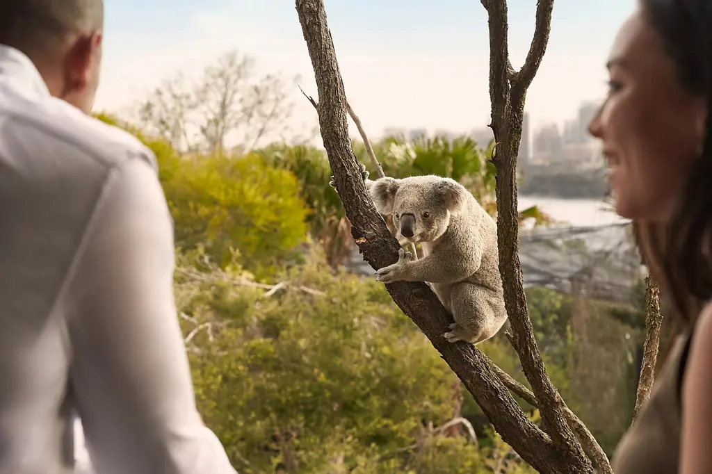 Wildlife Retreat at Taronga image 5