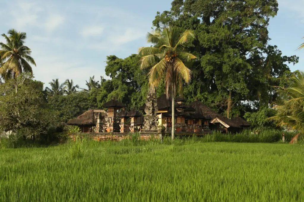 Alila Ubud image 9