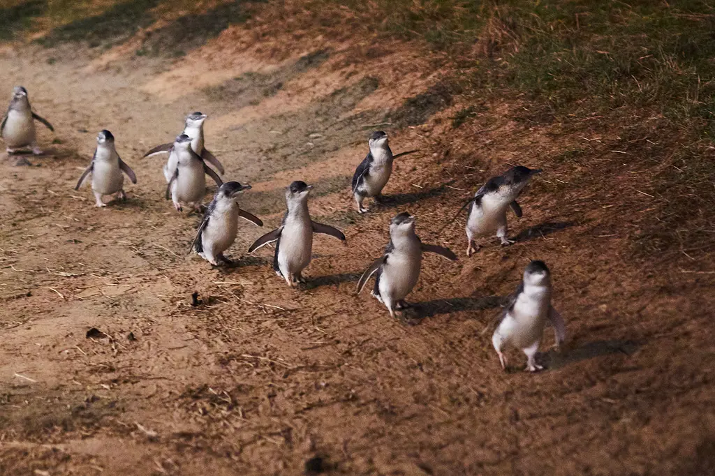 Silverwater Resort image 9