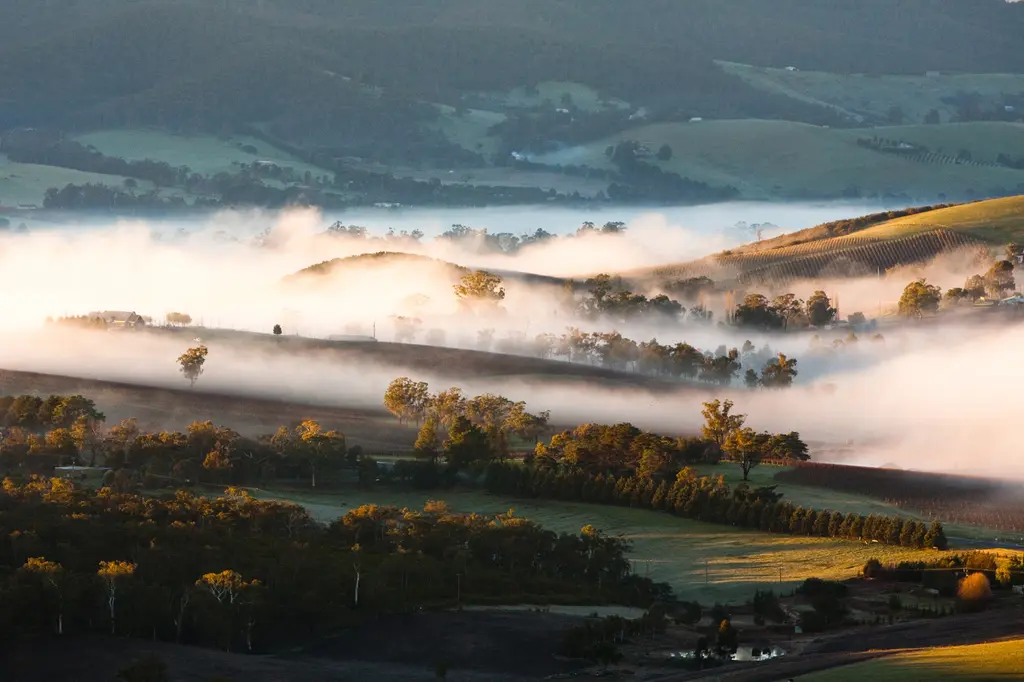 Yarra Valley Lodge image 4