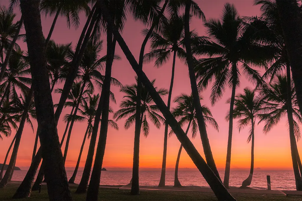 Alamanda Palm Cove by Lancemore image 8