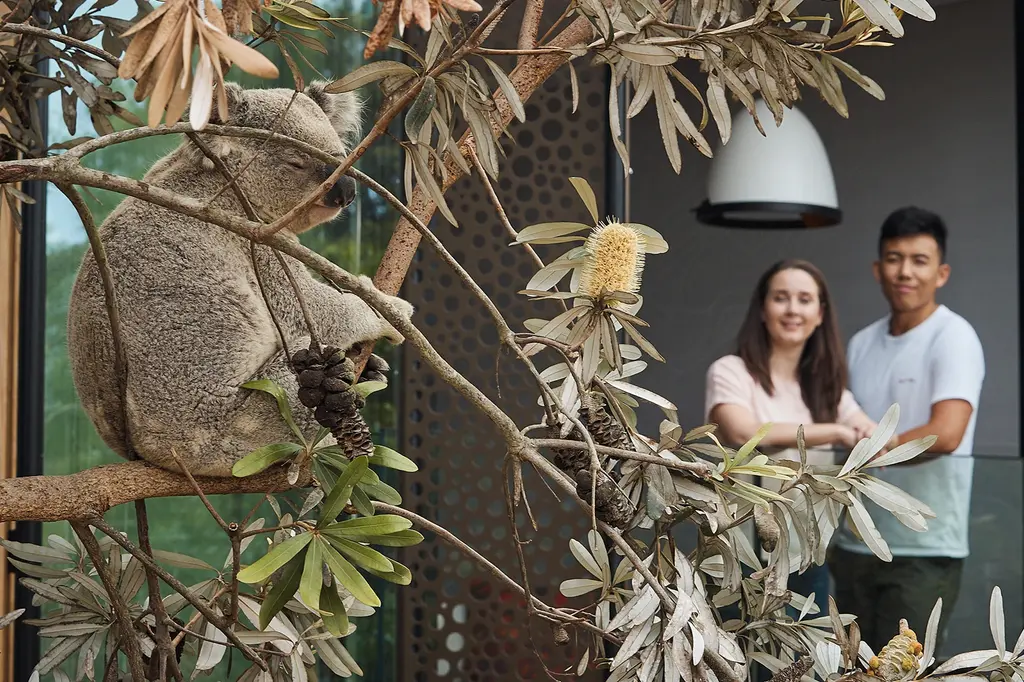 Wildlife Retreat at Taronga image 7