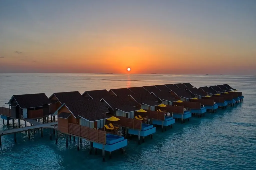 Dhigufaru Island Resort image 9