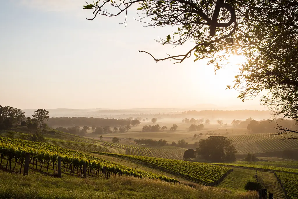 Château Élan at The Vintage image 4