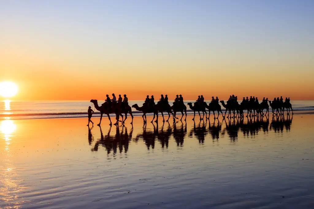 Mantra Frangipani Broome image 11
