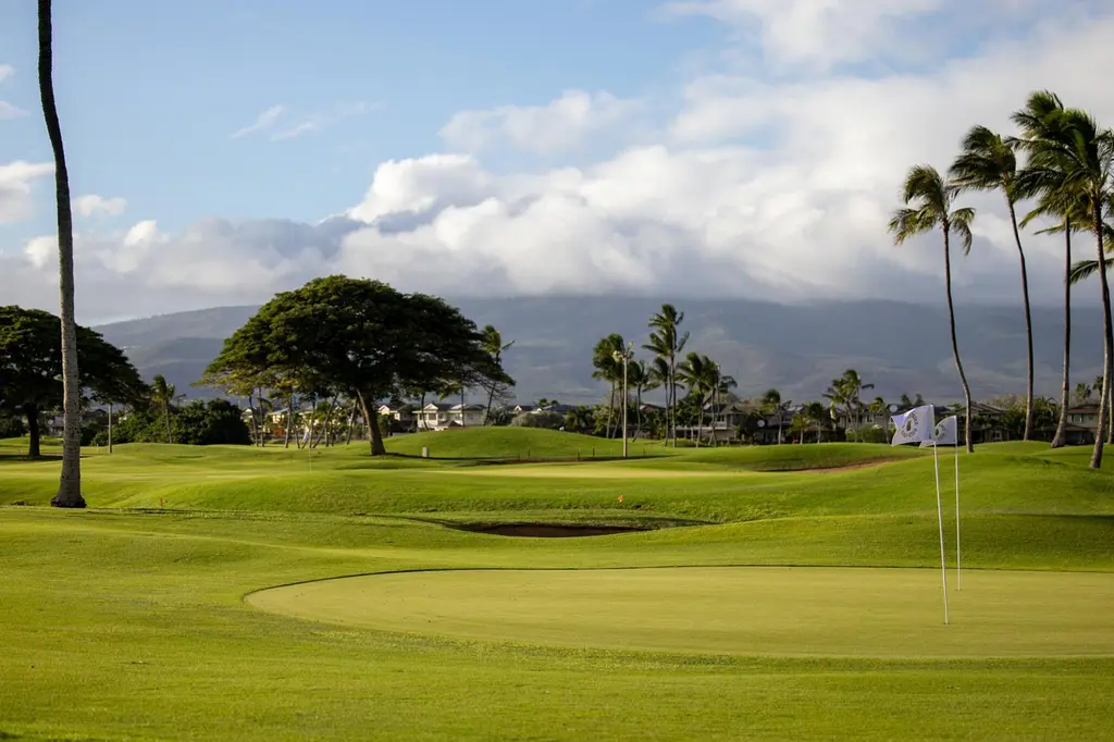 Prince Waikiki image 5