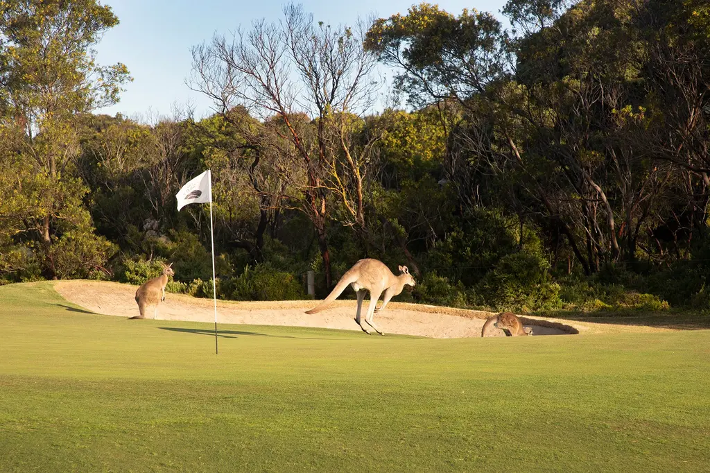 The Sands Torquay image 14