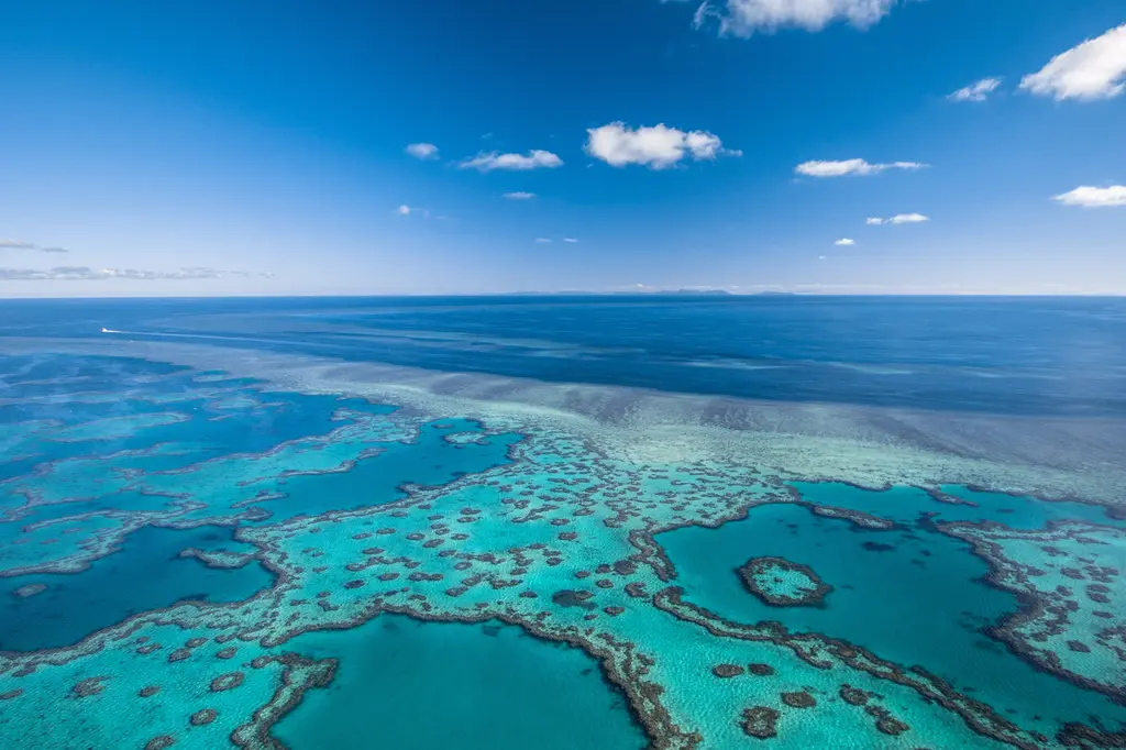 Reefsleep – Cruise Whitsundays image 10