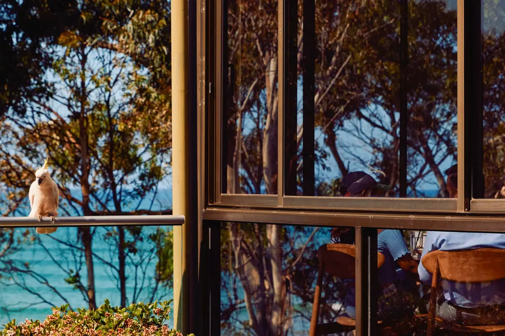 Lorne Hotel  image 10