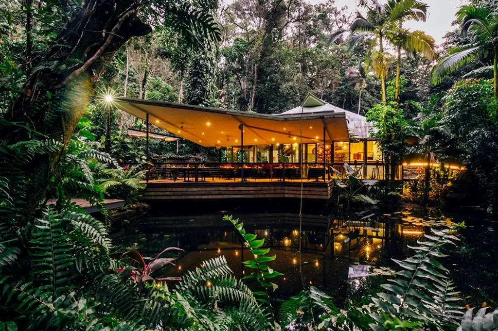 Daintree Ecolodge image 1