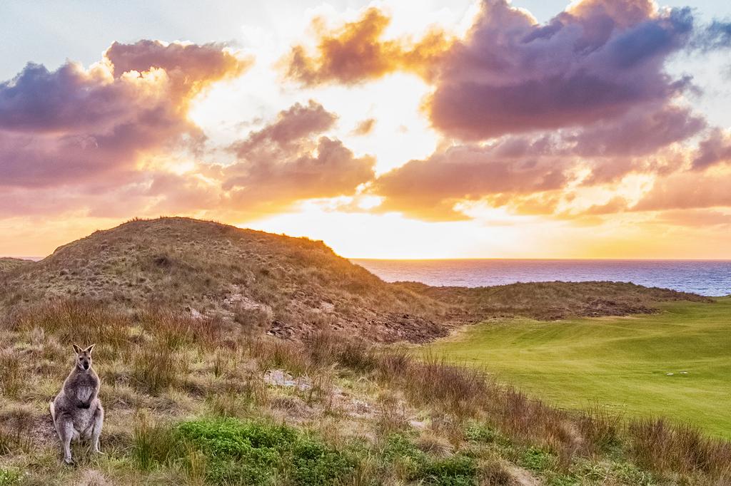 Cape Wickham Golf Links – King Island image 6