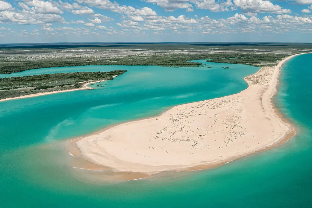 Eco Beach Wilderness Retreat image 15