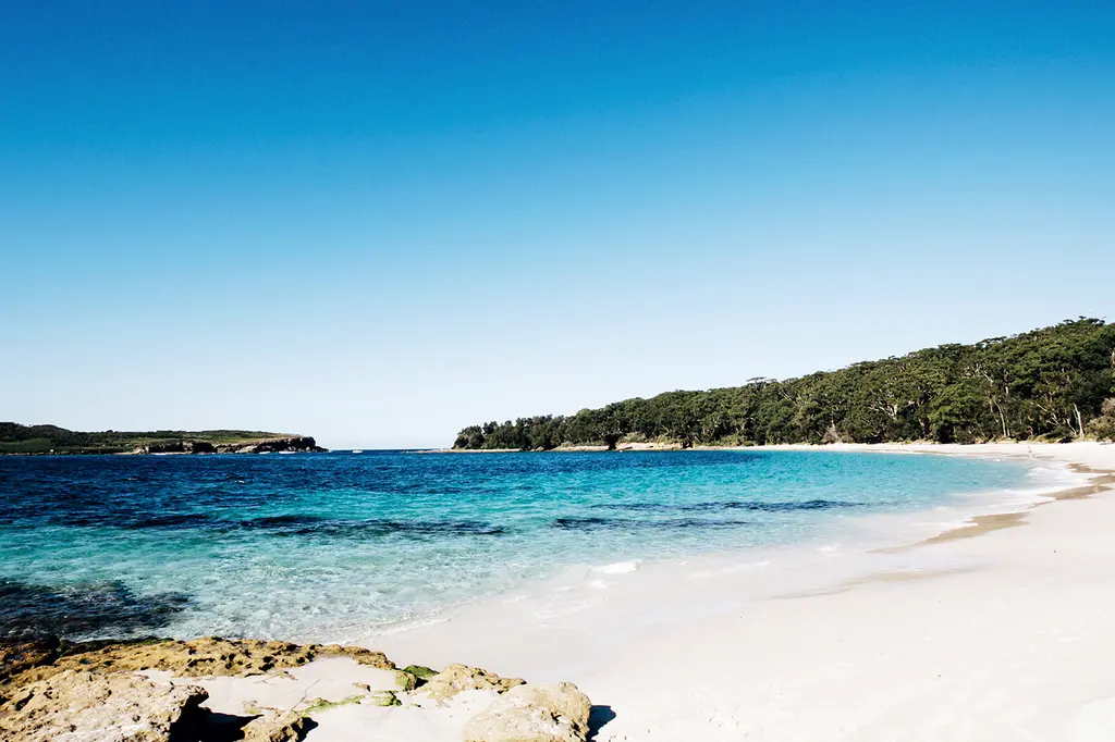 Paperbark Camp image 7