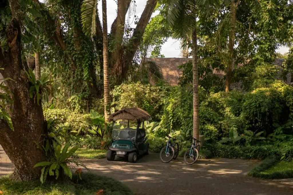 Alila Ubud image 10