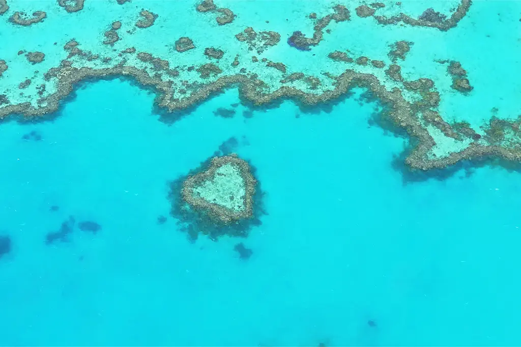 Verandahs Port Douglas image 6
