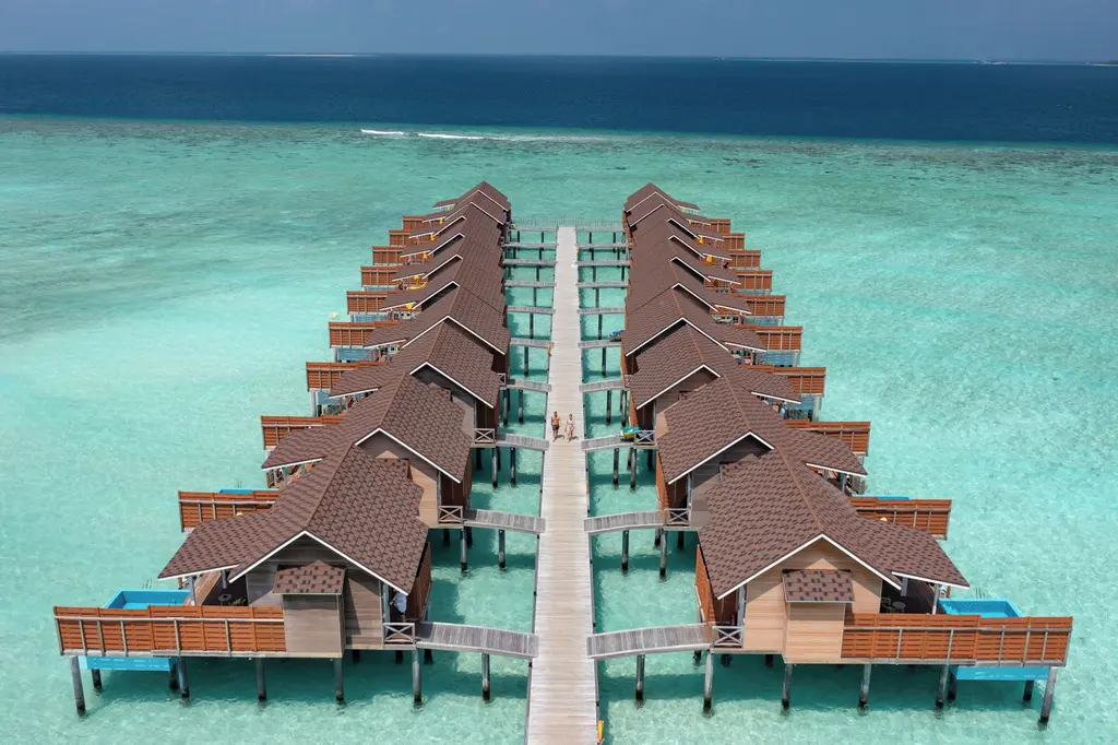 Dhigufaru Island Resort image 19