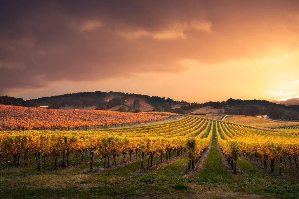 Mercure Hotel Barossa Valley image 1