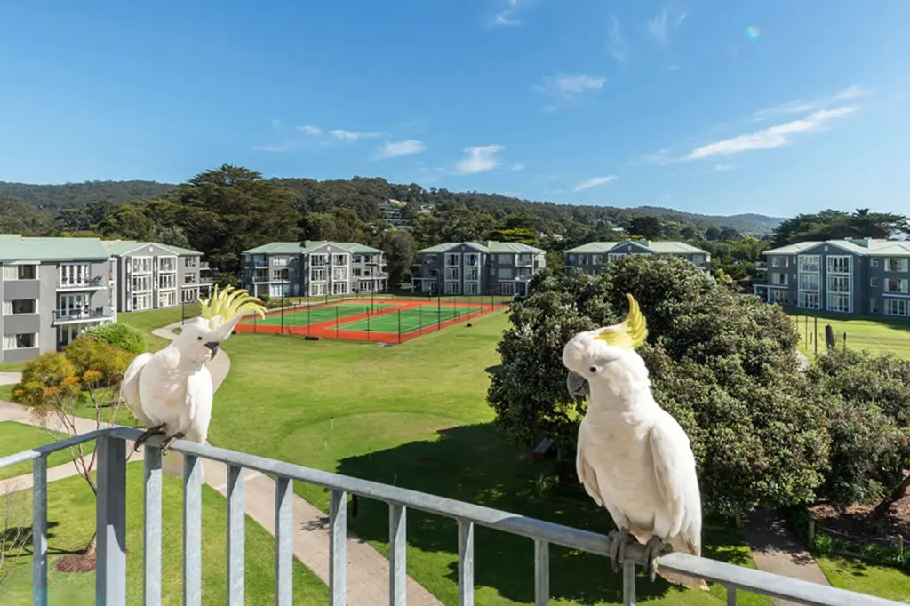 Mantra Lorne  image 10