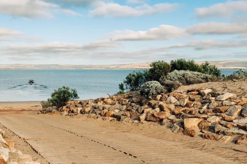 Rumi on Louth image 11