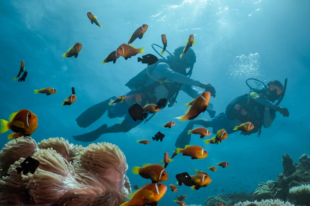 Six Senses Laamu image 5