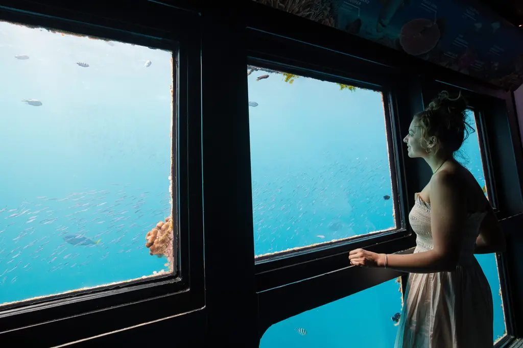 Reefsleep – Cruise Whitsundays image 12